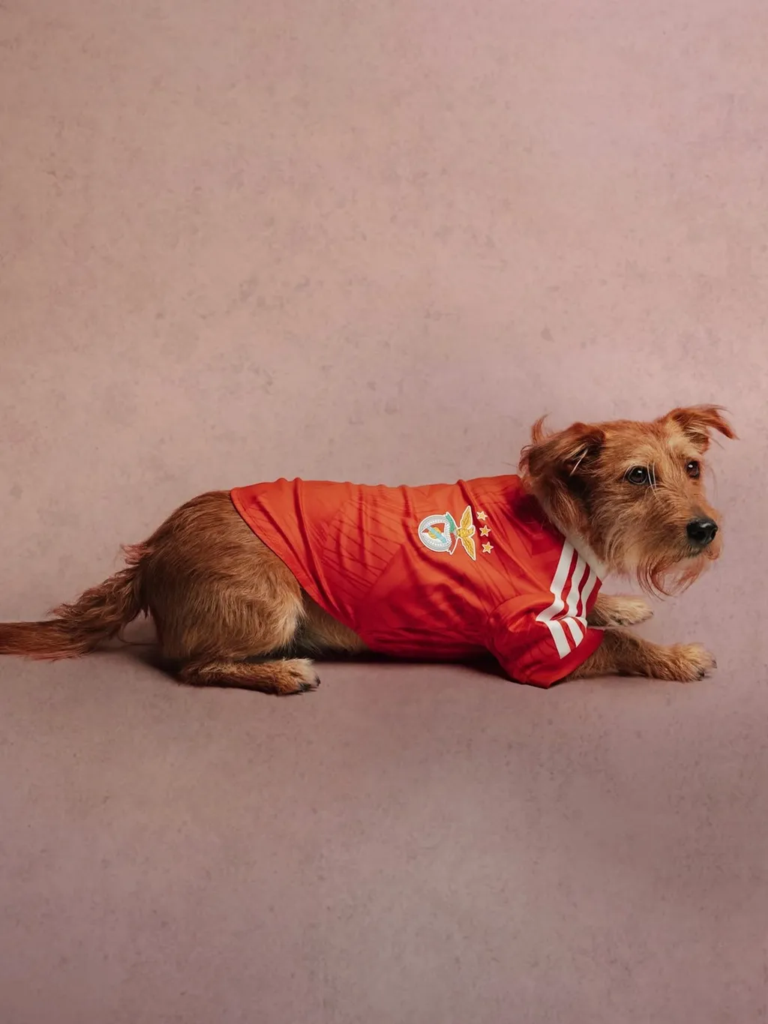 adidas lanza camisetas para perros inspiradas en Real Madrid, Liverpool y otros grandes clubes 6 image 219