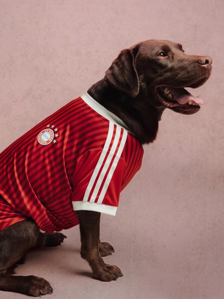 adidas lanza camisetas para perros inspiradas en Real Madrid, Liverpool y otros grandes clubes 5 image 220