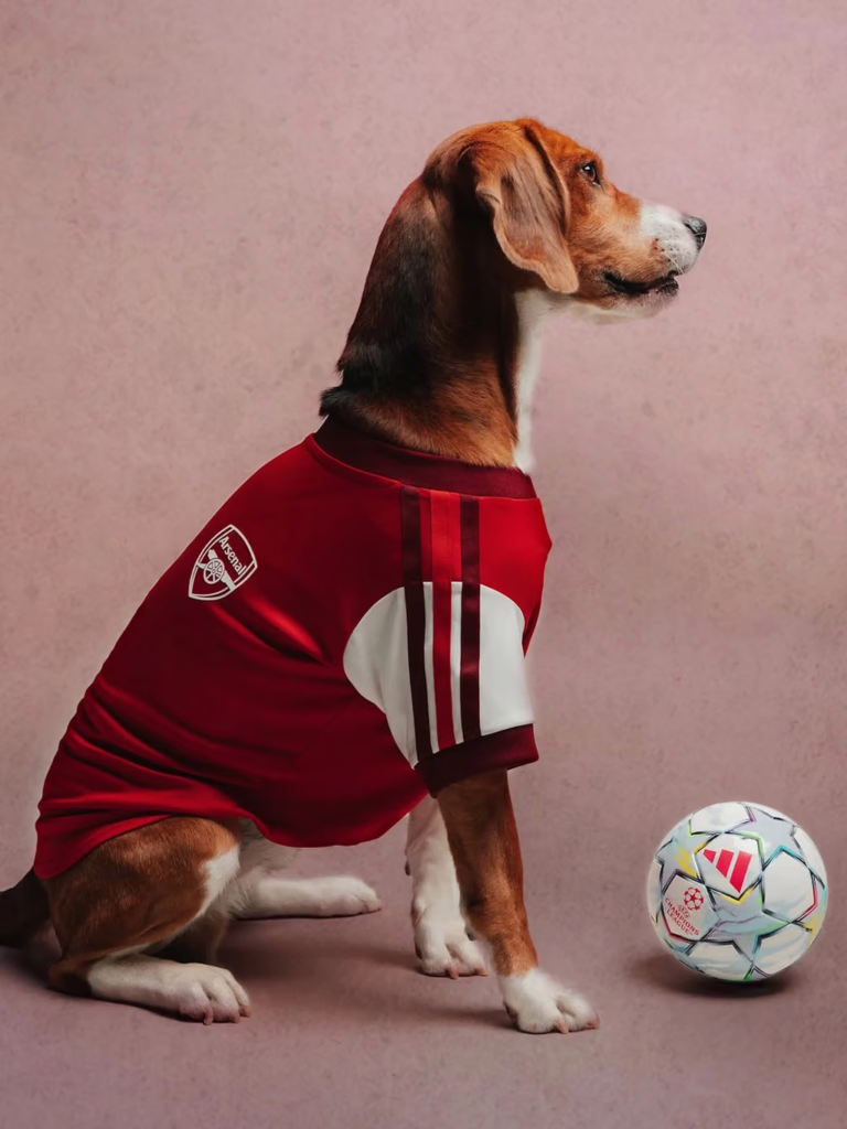 adidas lanza camisetas para perros inspiradas en Real Madrid, Liverpool y otros grandes clubes 3 image 222