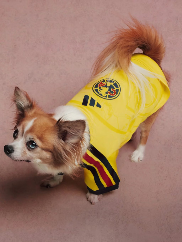 adidas lanza camisetas para perros inspiradas en Real Madrid, Liverpool y otros grandes clubes 7 image 224