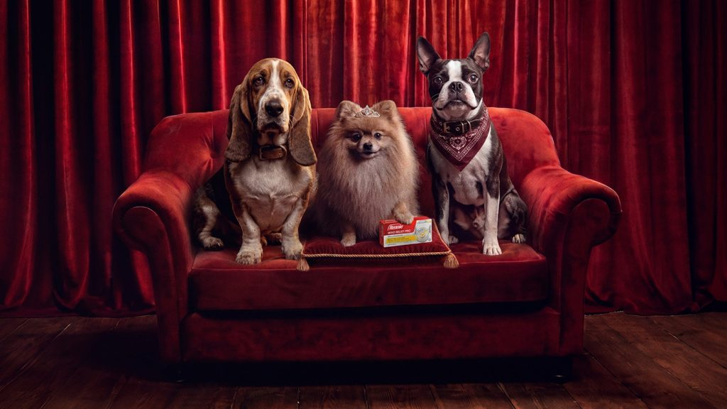 "Fue el perro": marca británica convierte la clásica excusa para ocultar gases en una campaña 2 marca británica convierte la clásica excusa para ocultar gases en una campaña.