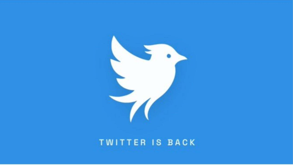 Twitter vuelve, pero no es X: así es la nueva red social que busca recuperar la marca 2 image 373