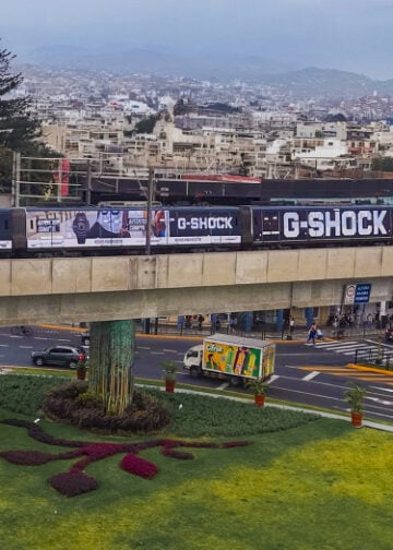 MercadoNegro 33 portal g shock.jpg