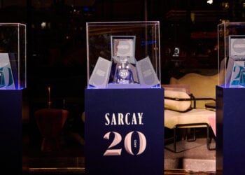 sarcay portal.jpg