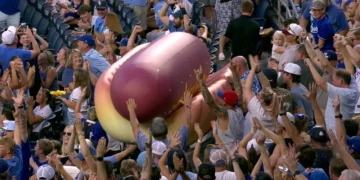 Hinchas arman un hot dog gigante en 35 segundos y ganan comida gratis para todo el estadio 2 Hot Dog gigante