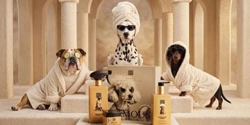 Skincare para mascotas: así luce la nueva colección pensada para el cuidado de los perros 3 PORTADA MN 2026 09 17T101600.679