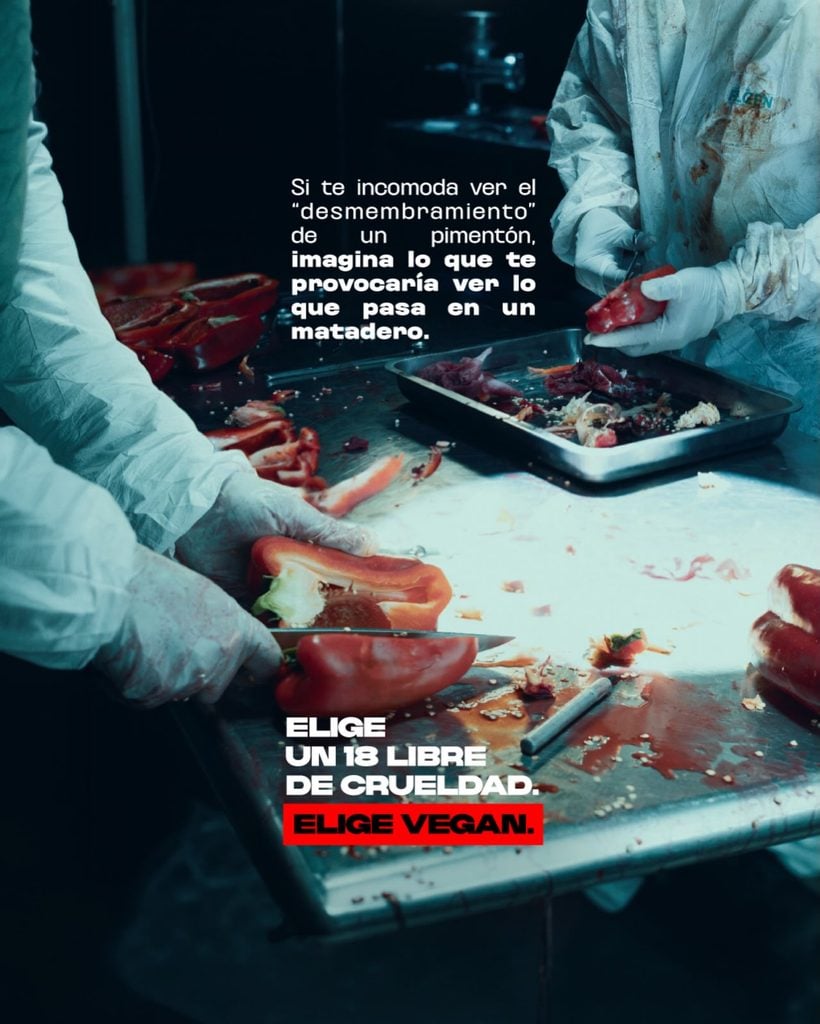 Animal Libre y ThePlan desafían el consumo de carne con una campaña protagonizada por vegetales 2 SaveClip.App 808265394 18629368624009747 3828842189594200276 n