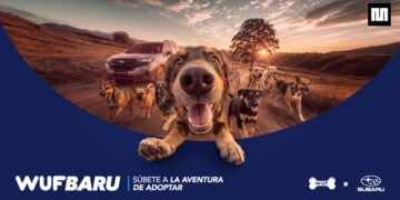 WUFBARU: Subaru transforma sus canales en una vitrina para adopción de la mano con WUF 2 WUFBARU