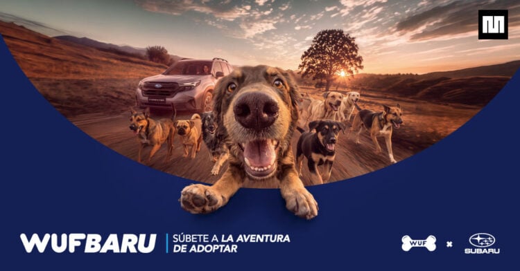 WUFBARU: Subaru transforma sus canales en una vitrina para adopción de la mano con WUF 1 WUFBARU