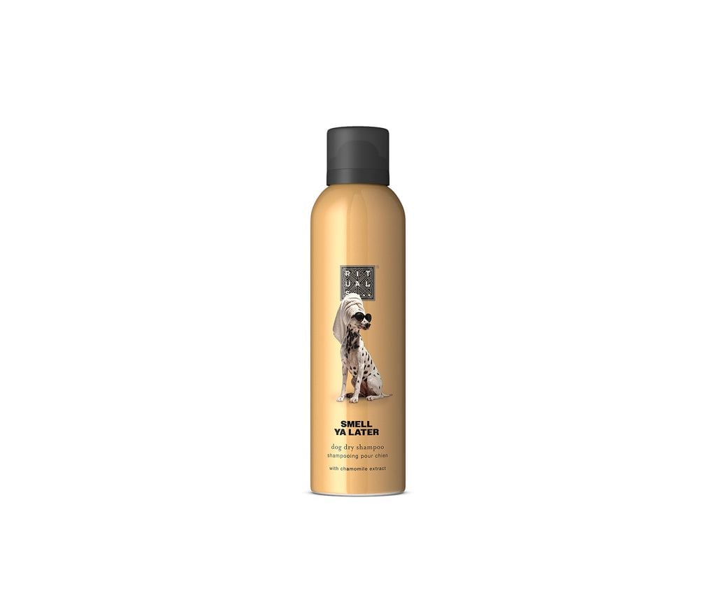 Skincare para mascotas: así luce la nueva colección pensada para el cuidado de los perros 4 Skincare para mascotas: así luce la nueva colección pensada para el cuidado de los perro.