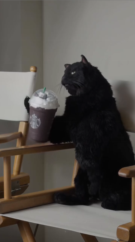 ¡Salem está de regreso! Icónico gato de Sabrina protagoniza campaña de Halloween de Starbucks 4 ¡Salem está de regreso! Icónico gato de Sabrina protagoniza campaña de Halloween de Starbucks.