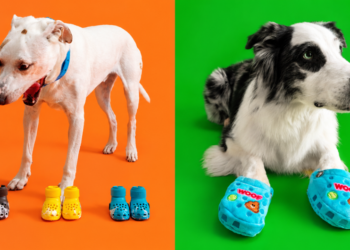¿Crocs para perros Gen Z? BARK amplía su colección con seis colores y juguetes