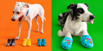 ¿Crocs para perros Gen Z? BARK amplía su colección con seis colores y juguetes 2 ¿Crocs para perros Gen Z? BARK amplía su colección con seis colores y juguetes