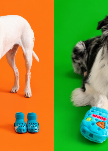 MercadoNegro 38 ¿Crocs para perros Gen Z? BARK amplía su colección con seis colores y juguetes