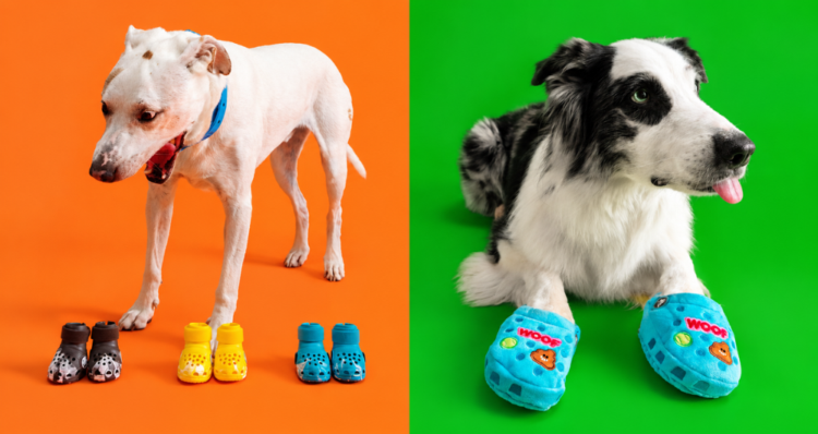 ¿Crocs para perros Gen Z? BARK amplía su colección con seis colores y juguetes