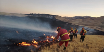 Incendios forestales en Perú: ¿cómo y dónde donar para apoyar a los afectados? Foto: Andina.