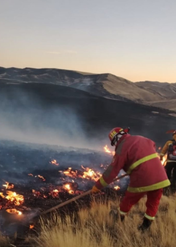 MercadoNegro 23 Incendios forestales en Perú: ¿cómo y dónde donar para apoyar a los afectados? Foto: Andina.