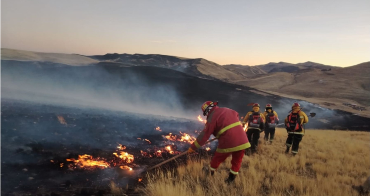 Incendios forestales en Perú: ¿cómo y dónde donar para apoyar a los afectados? 1 Incendios forestales en Perú: ¿cómo y dónde donar para apoyar a los afectados? Foto: Andina.
