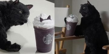¡Salem está de regreso! Icónico gato de Sabrina protagoniza campaña de Halloween de Starbucks 2 PORTADA MN 2026 10 23T165354.017