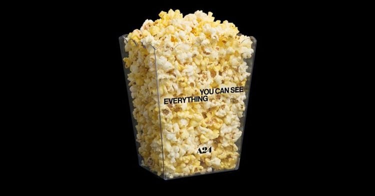 A24 lanza palomera transparente para promocionar “You Can See Everything” 1 PORTADA MN 2026 10 29T170826.314